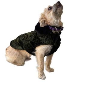 Fancy Custom Made Dog Coat- Small